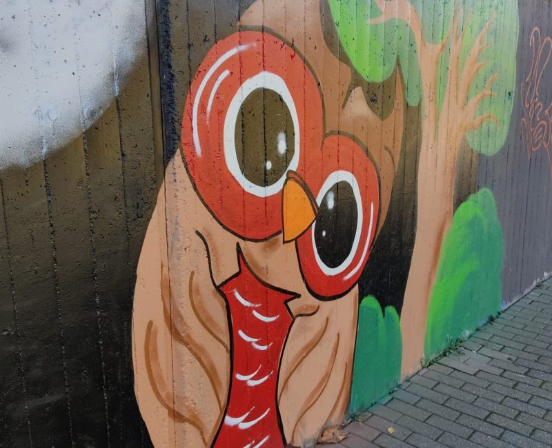 Foto von Schalli (1)